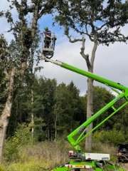 Level 3 Award Use of a Chainsaw from a Mobile E...