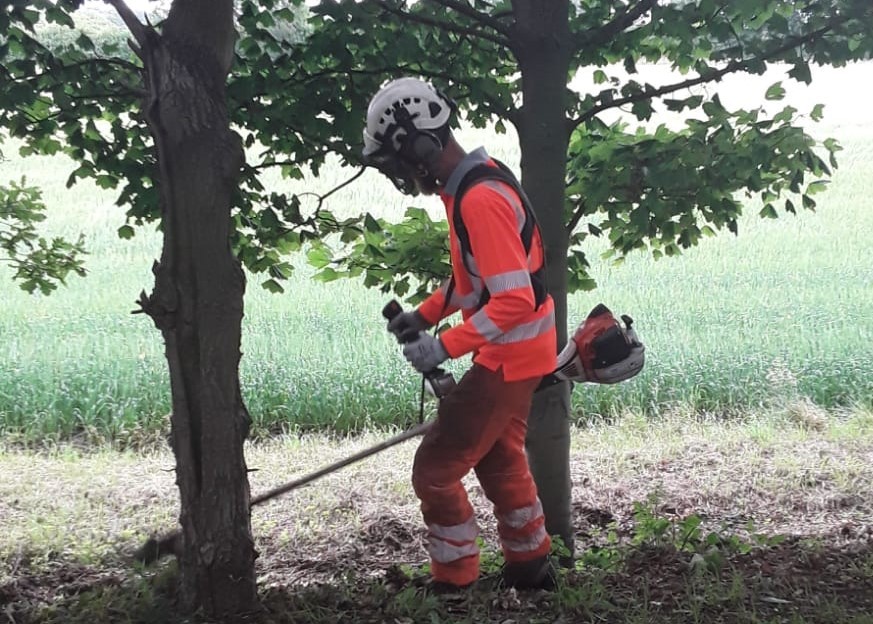 Brush cutters and trimmers are popular tools and work great in tricky terrains. This course is designed for beginners or anyone looking to refresh their current skills. Walk away from this course with newfound skills and knowledge, ready to develop in the field.
We allocate 1  day for training and assessment.
Number of candidates per course: 6