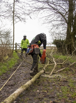 Level 2 Award In Felling and Processing Trees up to 380mm