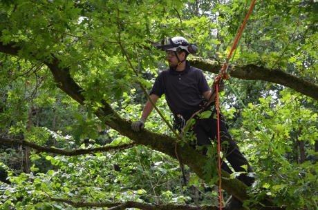 Aerial Tree Rescue Operation Refresher