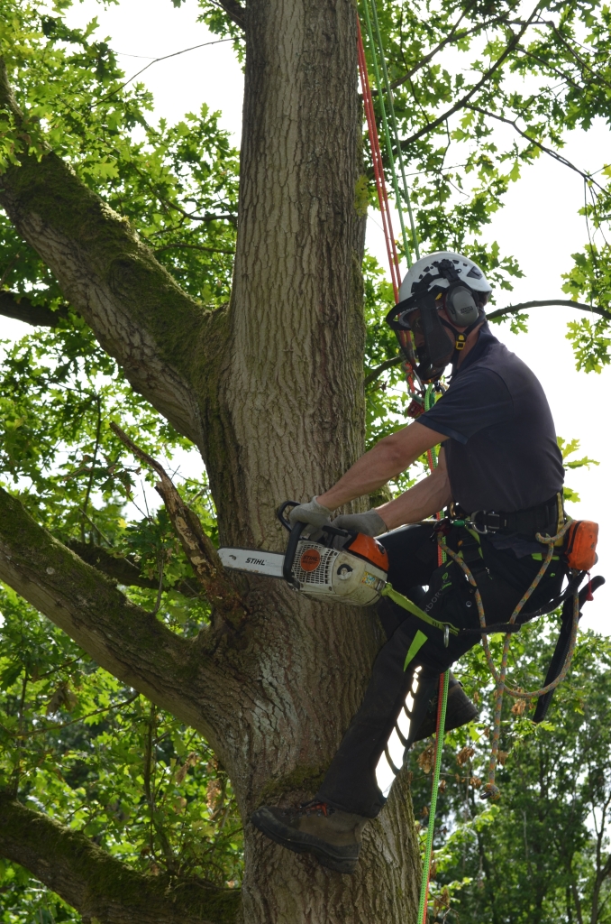 The Course will be delivered at our fully functional modern training facilities with access to multiple sized, various skill level climbing trees. 
This allows the ability for candidates to move at their own pace when training, but also addressing multiple scenarios that Arborists come across when removing limbs in a controlled manner.