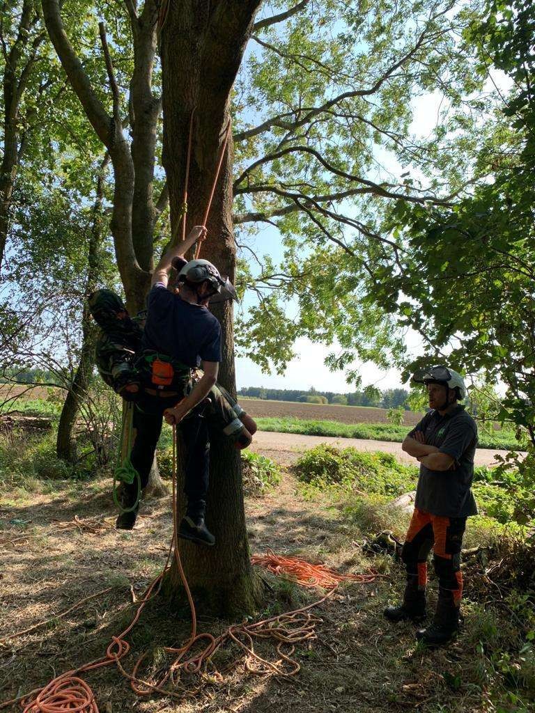 This Lantra accredited course is developed for anyone needing to learn how to safely climb a tree, and how to rescue someone stranded in a tree. Walk away with new skills that could be potentially lifesaving. Upon successfully completing the assessment element of this course the learner will gain a the qualification.  
This course has 5 dedicated days for training and 1 day for assessment. 
Number of candidates per course: 4