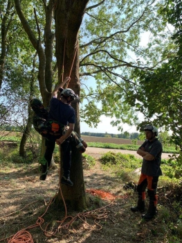 Level 3 Award in Aerial Tree Rescue Operations