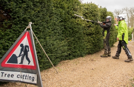 Hand Held Hedge Trimmer