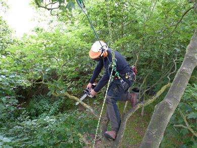 Our course will provide you with the knowledge, skills, and understanding to carry out aerial pruning of a tree through a three day course followed by a one day assessment. It covers the pruning of a tree from either a rope and harness or from a MEWP. Upon successfully completing the assessment element of this course, you will receive a nationally recognised qualification that is registered with Ofqual.
Please note that there are prerequisites to this course that are listed below.