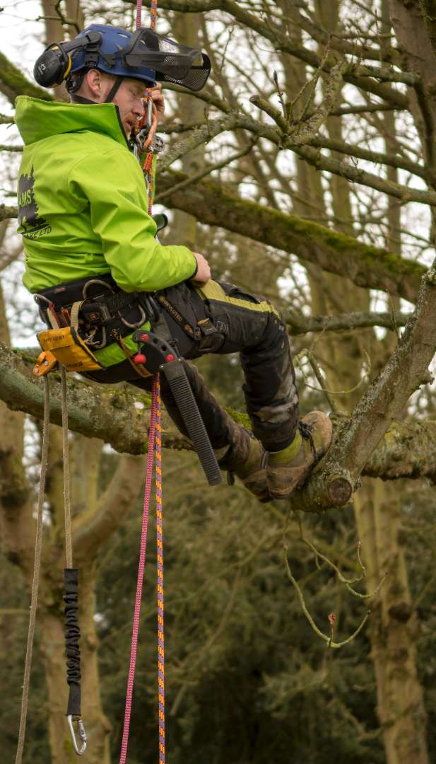 Tree Climbing, Aerial Rescue and Use of a Chain...