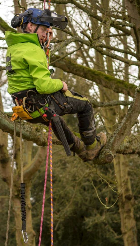 A three day refresher course to keep you updated with any new skills that are needed to reflect any changes to best climbing practice as laid out in the new Technical Guidance 1: Tree climbing and aerial rescue.
