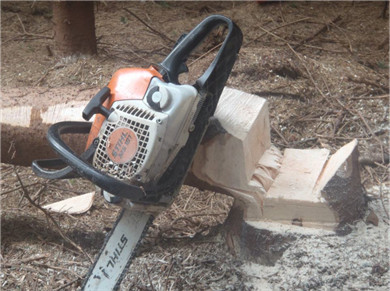 Felling and Processing Trees up to 380mm Refresher