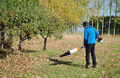 This one-day leaf blower course is suitable for you if you have a combi tool, a back pack blower or a dedicated machine.

The leaf blower is the go-to machine for many working in horticulture, arboriculture, and forestry industries.
 
Our course will teach you the skills to operate a leaf blower safely and efficiently.
 
You'll also learn about maintenance specific to a blower, to help keep the machine in tip-top condition.