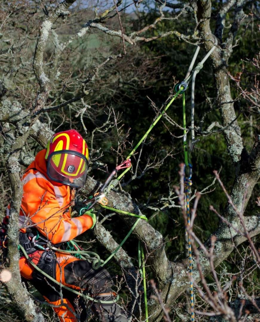 A 3 day integrated assesment course to enable the candidate to understand the Stationary Work Positioning for Tree Climbing. As such you will look at a range of skills and knowledge required to develop climbing techniques and carry out SRWP rescue methods.