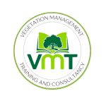 2025 training and consultancy logo