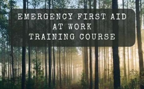 3 day First Aid at Work + Forestry