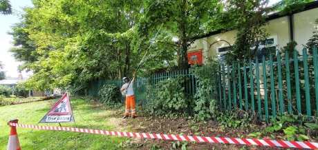 Level 2 Award in Using a Powered Pole Pruner