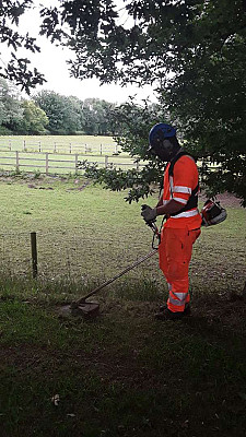 2002-1.-Strimmer.jpg